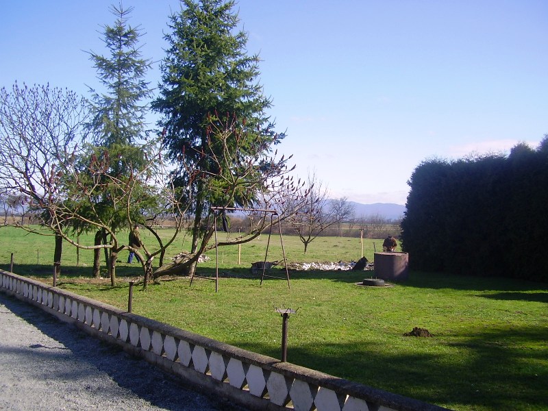 P3300049