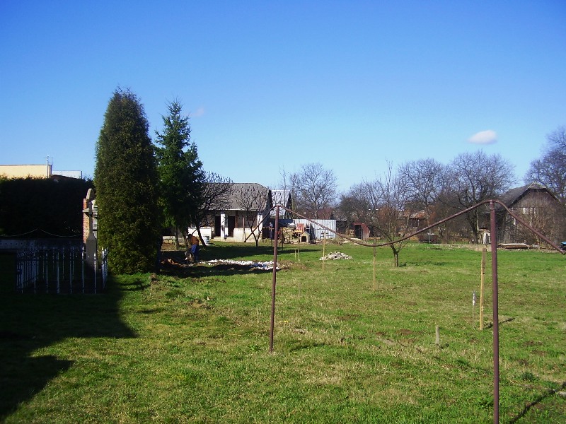 P3300058
