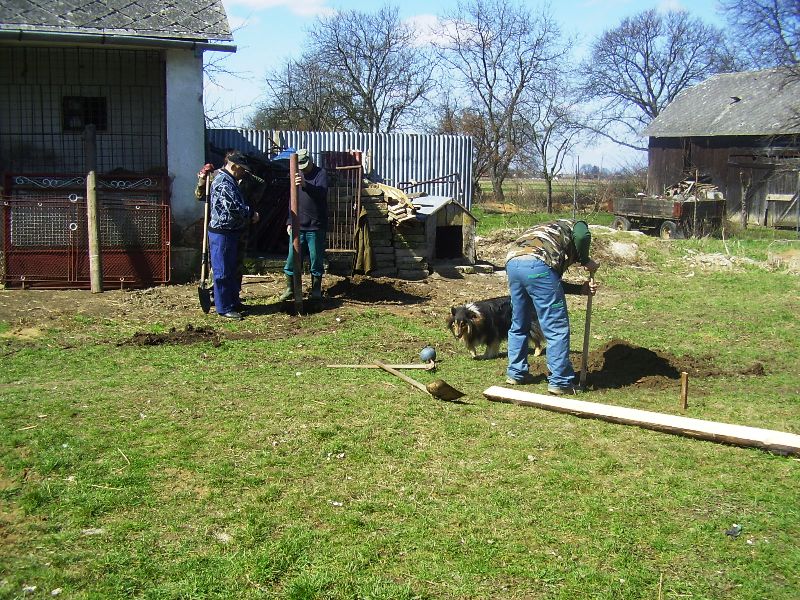 P3300069