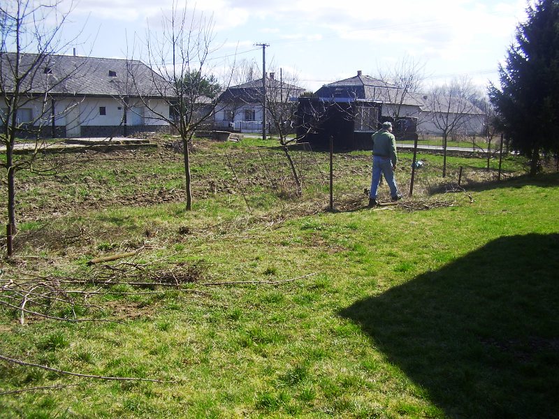 P3300070