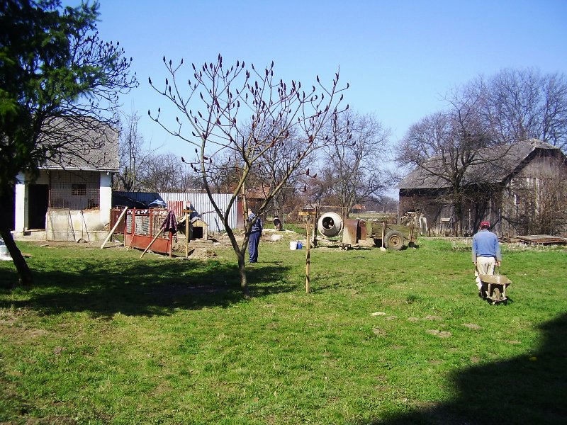 P4010076