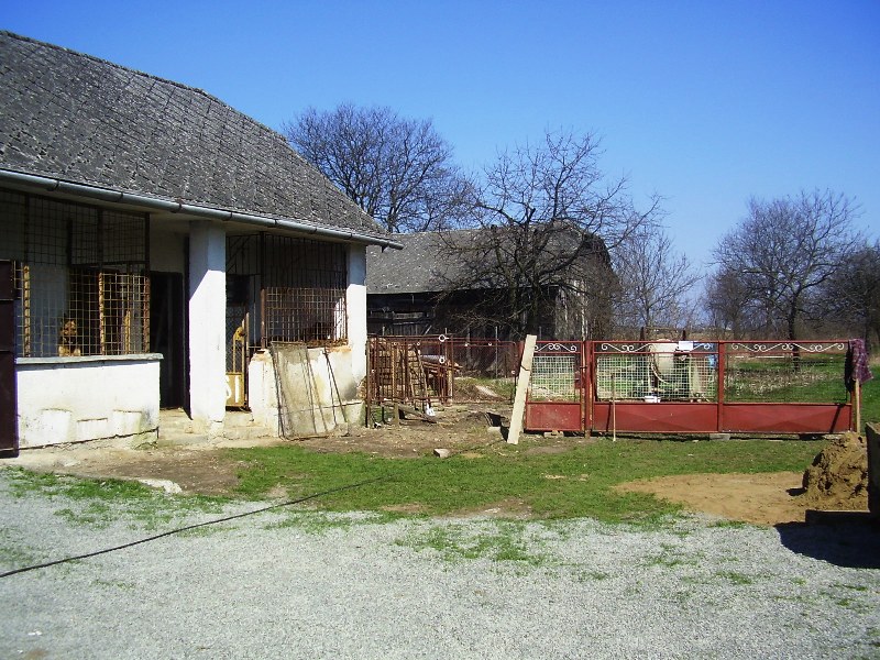 P4010077